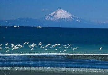 Tateyama Seaside Hotel Exterior foto